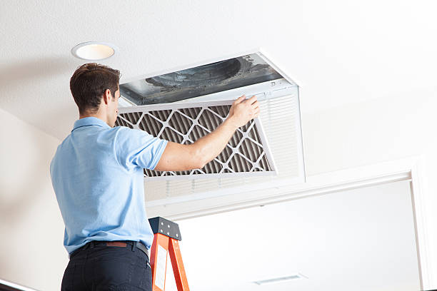 Best Affordable HVAC Services  in Blissfield, MI